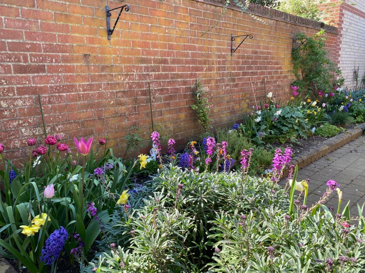 Вілла Stylish Town Centre House With Garden And Parking Opposite Bury St. Edmunds Екстер'єр фото